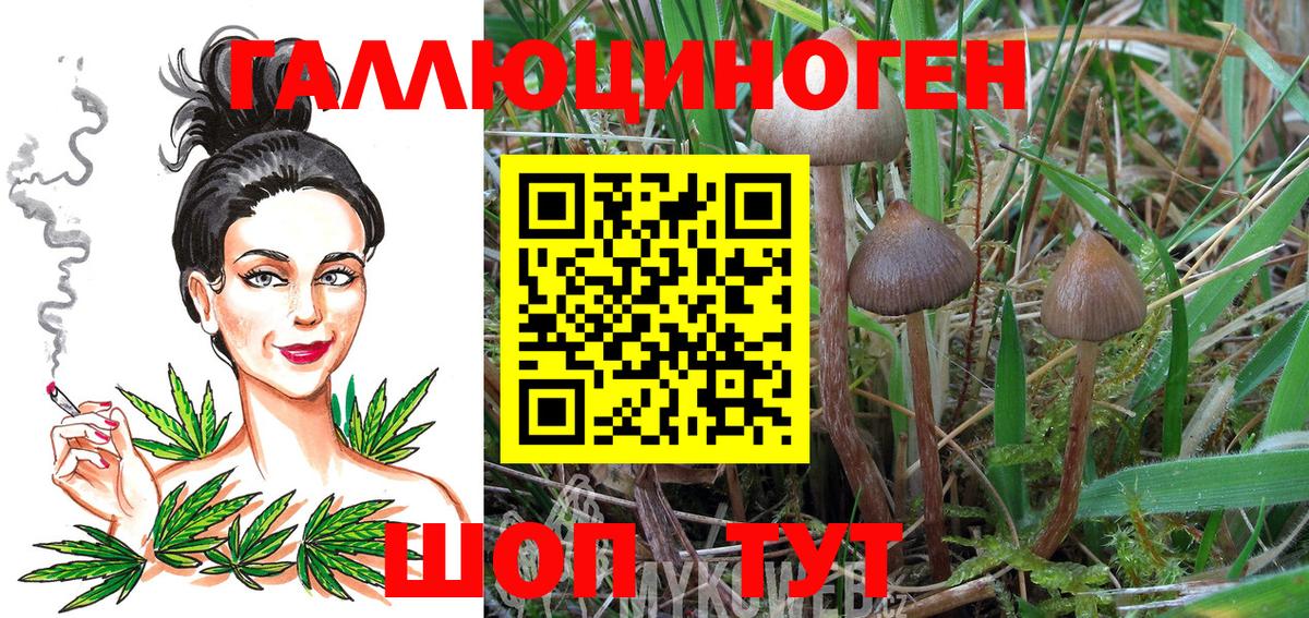Галлюциногенные грибы мицелий Сафоново